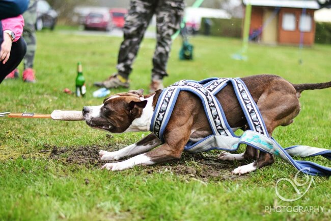 377921327_1505529103318283_2666831926567519381_n